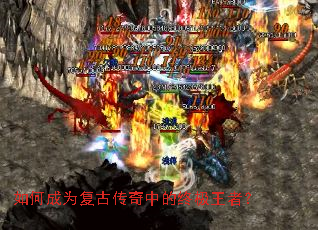 ��γ�Ϊ���Ŵ����е��ռ����ߣ�