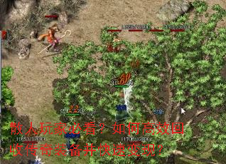 ɢ����ұؿ�����θ�Ч���մ���װ�������ٱ��֣�