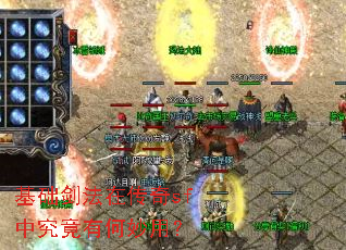 ���������ڴ���sf�о����к����ã�