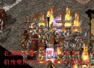 �ںڰ���½�����̤����;�����������ɫ��������ȫ��λ����