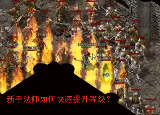 ���ַ�ʦ��ο��������ȼ���