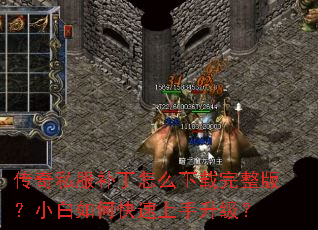 ����˽��������ô���������棿С����ο�������������