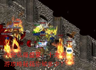 ����˽��ʢ�磺ʮ�����ι����ؼ���֪���٣�