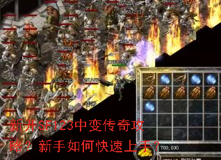 �¿�SF123�б䴫�湥�ԣ�������ο������֣�