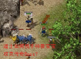 ��ʿ���Я�����ޱ������˴���Boss��