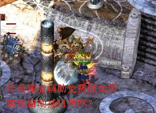 ������߸�����Ѱ����ʵ���Զ��һ���PK��