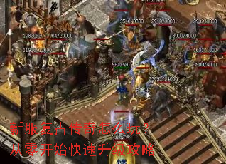 �·����Ŵ�����ô�棿���㿪ʼ������������