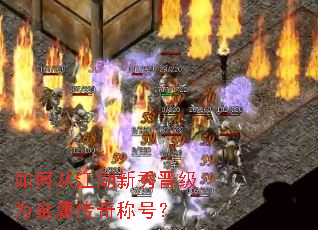 ��δӽ����������Ϊ��ӹ����ƺţ�