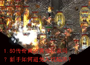 1.80������ĺ��������������α���������壿