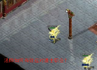 ��ʦ�����ЧӦ�Ե�ʿְҵ��