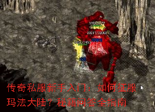 ����˽���������ţ���������귨��½���ؼ��ʴ�ȫָ��
