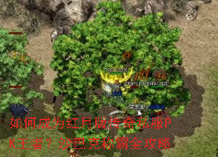 ��γ�Ϊ���°洫��˽��PK���ߣ�ɳ�Ϳ˳ư�ȫ����