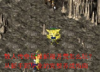 散人传奇私服新服开荒怎么玩?从新手到毕业的完整养成指南 散人传奇私服新服开荒怎么玩?从新手到毕业的完整养成指南