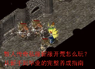 散人传奇私服新服开荒怎么玩?从新手到毕业的完整养成指南 散人传奇私服新服开荒怎么玩?从新手到毕业的完整养成指南