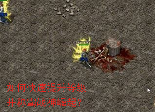 如何快速提升等级并称霸战神崛起? 如何快速提升等级并称霸战神崛起?