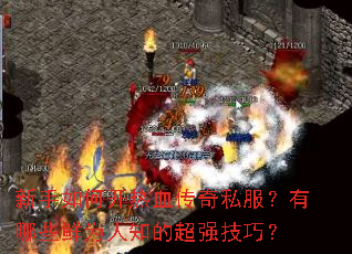 新手如何开热血传奇私服?有哪些鲜为人知的超强技巧? 新手如何开热血传奇私服?有哪些鲜为人知的超强技巧?