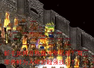 新手如何开热血传奇私服?有哪些鲜为人知的超强技巧? 新手如何开热血传奇私服?有哪些鲜为人知的超强技巧?