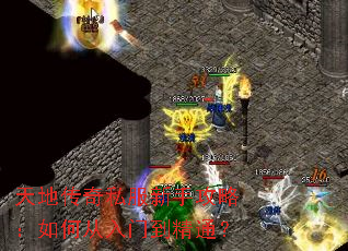 天地传奇私服新手攻略:如何从入门到精通? 天地传奇私服新手攻略:如何从入门到精通?