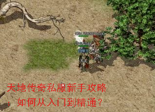 天地传奇私服新手攻略:如何从入门到精通? 天地传奇私服新手攻略:如何从入门到精通?