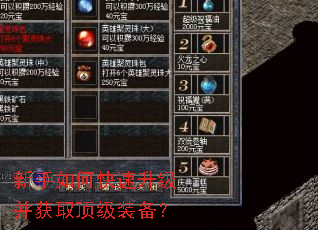 新手如何快速升级并获取顶级装备? 新手如何快速升级并获取顶级装备?