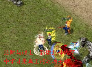 法师与战士:新版封神传奇中谁才是真正的战场主宰? 法师与战士:新版封神传奇中谁才是真正的战场主宰?