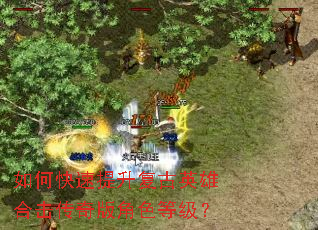 如何快速提升复古英雄合击传奇版角色等级? 如何快速提升复古英雄合击传奇版角色等级?