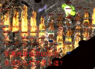 完美传奇世界BOSS究竟该怎么打才是王道? 完美传奇世界BOSS究竟该怎么打才是王道?