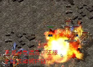 圣域异兽谱系:征服之路该如何铺就? 圣域异兽谱系:征服之路该如何铺就?