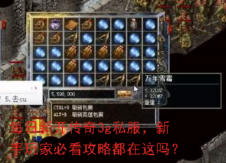 ÿ���¿�����3g˽����������ұؿ����Զ�������