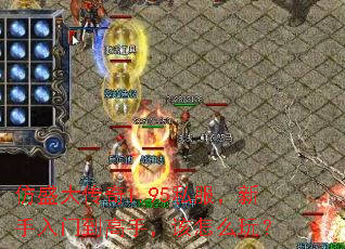��ʢ����1.95˽�����������ŵ����֣�����ô�棿