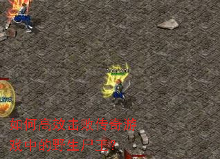 ��θ�Ч���ܴ�����Ϸ�е�Ұ��ʬ����