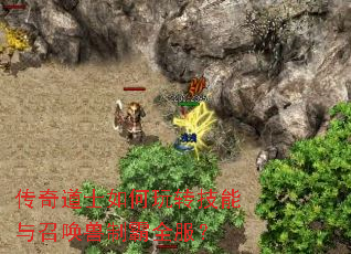 传奇道士如何玩转技能与召唤兽制霸全服? 传奇道士如何玩转技能与召唤兽制霸全服?