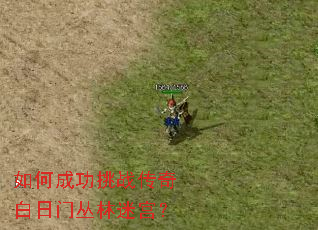 如何成功挑战传奇白日门丛林迷宫? 如何成功挑战传奇白日门丛林迷宫?