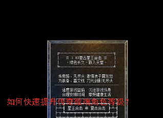 如何快速提升传奇微端角色等级? 如何快速提升传奇微端角色等级?
