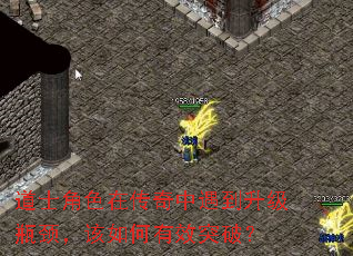 道士角色在传奇中遇到升级瓶颈,该如何有效突破? 道士角色在传奇中遇到升级瓶颈,该如何有效突破?