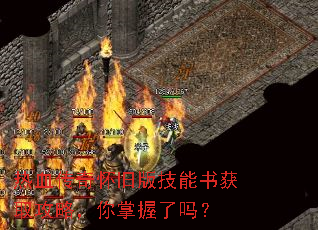 ��Ѫ���滳�ɰ漼�����ȡ���ԣ�����������