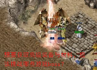 ��Ҫ��ȡ�߼�װ������ϣ�Ӧ����ս��Щ��Ϸboss��