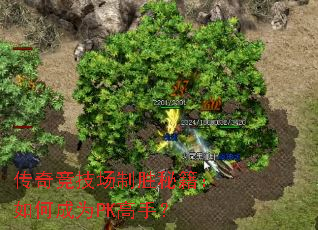 传奇竞技场制胜秘籍:如何成为PK高手? 传奇竞技场制胜秘籍:如何成为PK高手?
