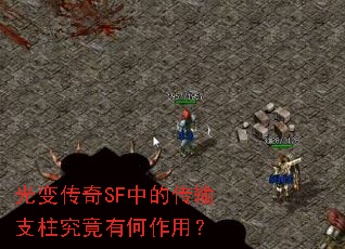 ��䴫��SF�еĴ���֧�������к����ã�