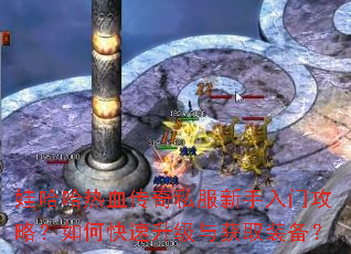 娃哈哈热血传奇私服新手入门攻略?如何快速升级与获取装备? 娃哈哈热血传奇私服新手入门攻略?如何快速升级与获取装备?