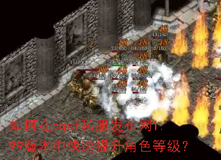 �����cqsf˽��������1.99�汾�п���������ɫ�ȼ���