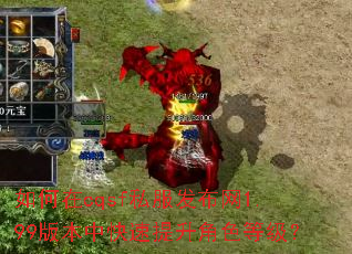�����cqsf˽��������1.99�汾�п���������ɫ�ȼ���