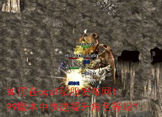 �����cqsf˽��������1.99�汾�п���������ɫ�ȼ���