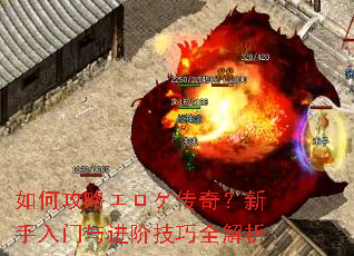 ��ι��ԥ��������棿������������׼���ȫ����