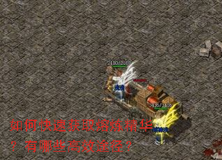 如何快速获取熔炼精华?有哪些高效途径? 如何快速获取熔炼精华?有哪些高效途径?