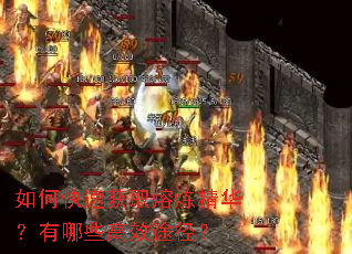 如何快速获取熔炼精华?有哪些高效途径? 如何快速获取熔炼精华?有哪些高效途径?
