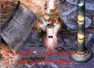 道士传奇新手如何快速提升等级?装备获取攻略有哪些? 道士传奇新手如何快速提升等级?装备获取攻略有哪些?