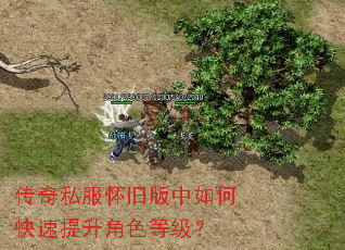 传奇私服怀旧版中如何快速提升角色等级? 传奇私服怀旧版中如何快速提升角色等级?