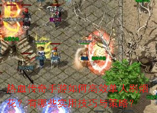 热血传奇手游如何高效单人刷烟花?有哪些实用技巧与策略? 热血传奇手游如何高效单人刷烟花?有哪些实用技巧与策略?