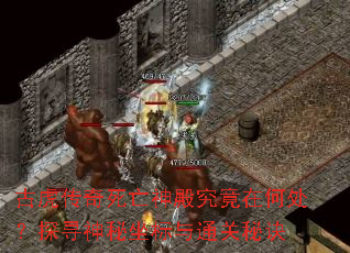 古虎传奇死亡神殿究竟在何处?探寻神秘坐标与通关秘诀 古虎传奇死亡神殿究竟在何处?探寻神秘坐标与通关秘诀